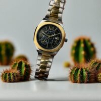 ساعت مردانه christyan arden B800